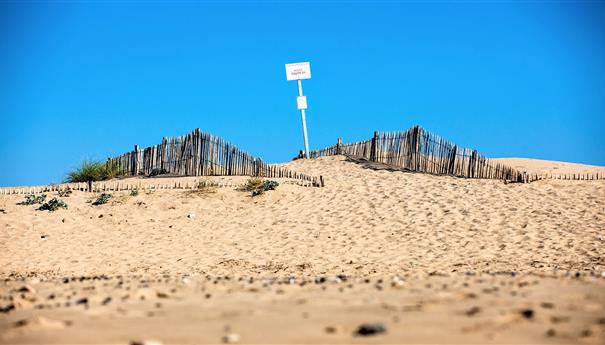 La grande plage